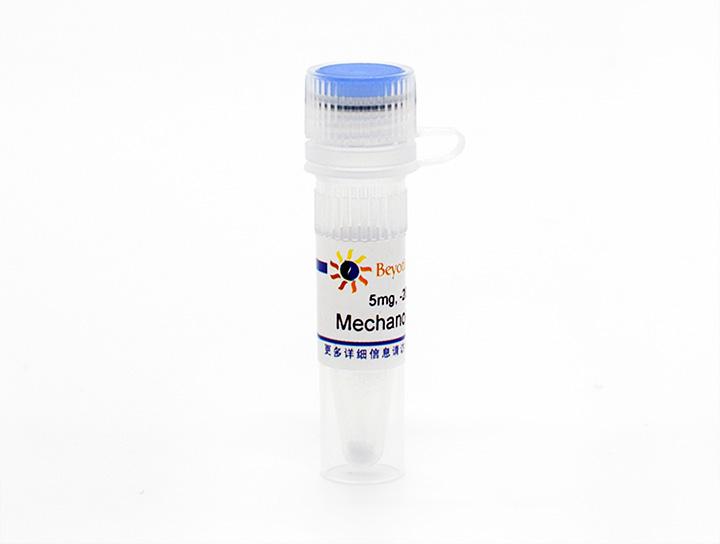 Mechano Growth Factor (机械生长因子)